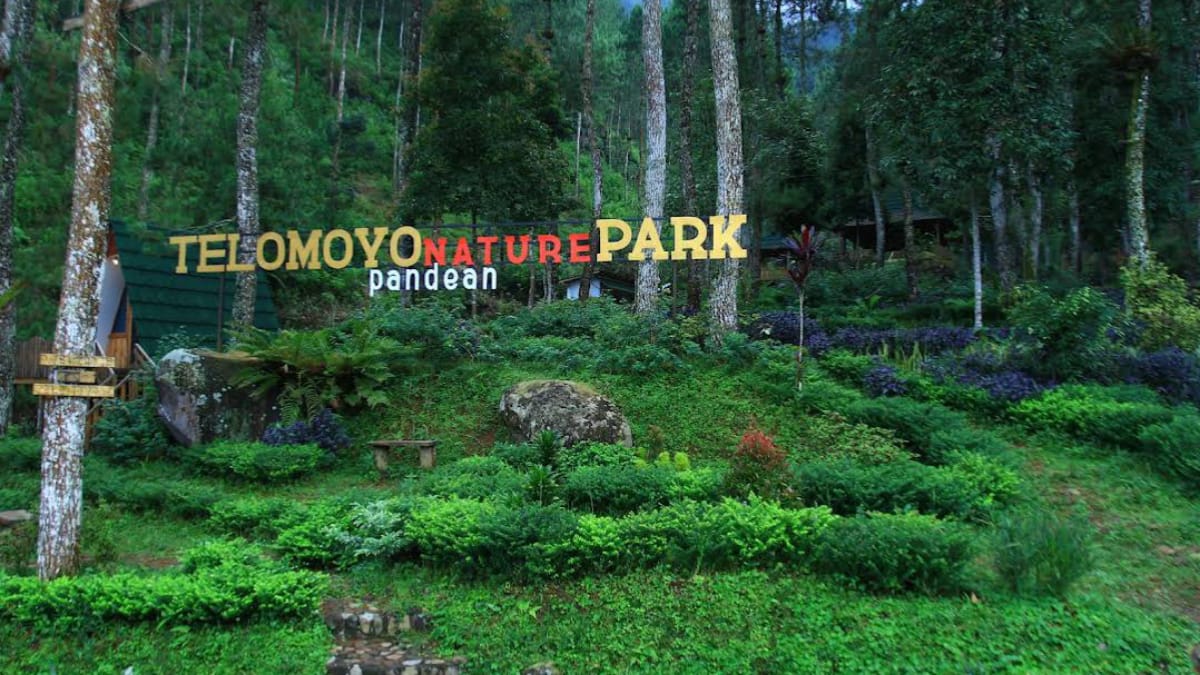 Telomoyo Nature Park: Destinasi Alam Menawan di Jawa Tengah